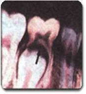 http://www.drkhalilollah.com/orofacial