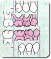 http://www.drkhalilollah.com/orofacial
