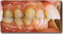 http://www.drkhalilollah.com/ortho